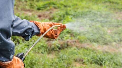 Eliminar las malas hierbas del cesped con herbicidas